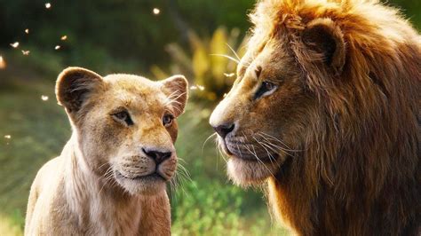 lion king promo|lion king special offer code.